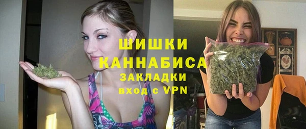 крисы Горняк
