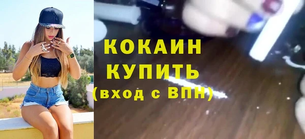 крисы Горняк
