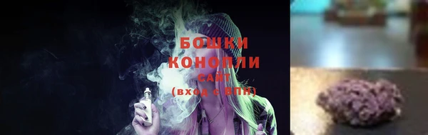 крисы Горняк