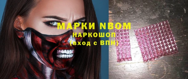 крисы Горняк