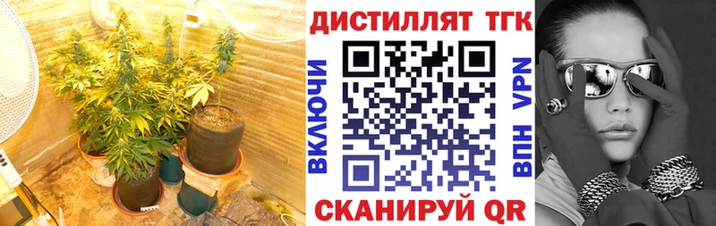 hydra tor  цены наркотик  Чита  Дистиллят ТГК жижа 